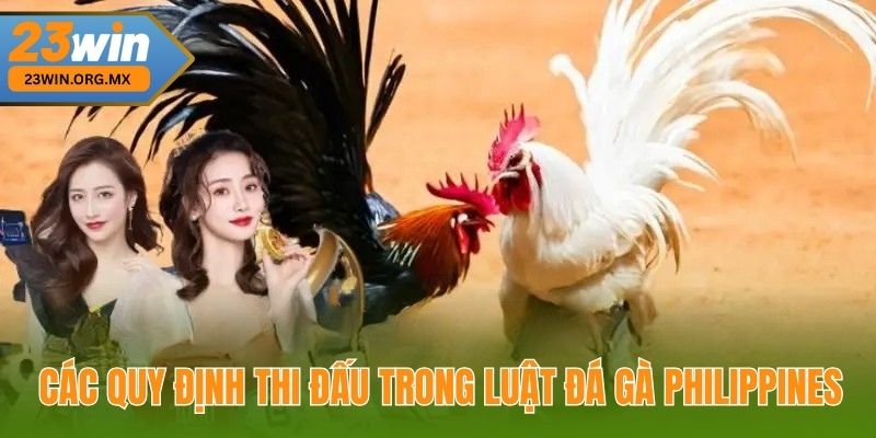 Luật Đá Gà Philippines Tại 23win – Quy Định Và Hướng Dẫn Chi Tiết Các quy định thi đấu trong Luật đá gà Philippines