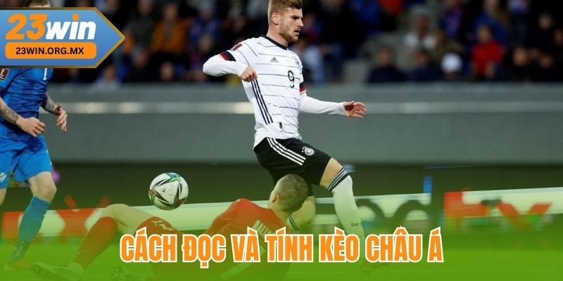 Đọc Kèo Châu Á Chuẩn Xác – Chìa Khóa Vàng Trong Cá Cược Bóng Đá Cách đọc và tính kèo châu Á
