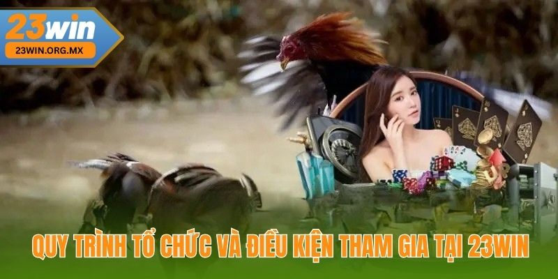Luật Đá Gà Philippines Tại 23win – Quy Định Và Hướng Dẫn Chi Tiết Quy trình tổ chức và điều kiện tham gia tại 23Win