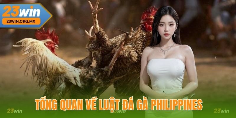Luật Đá Gà Philippines Tại 23win – Quy Định Và Hướng Dẫn Chi Tiết Tổng quan về Luật đá gà Philippines tại 23Win